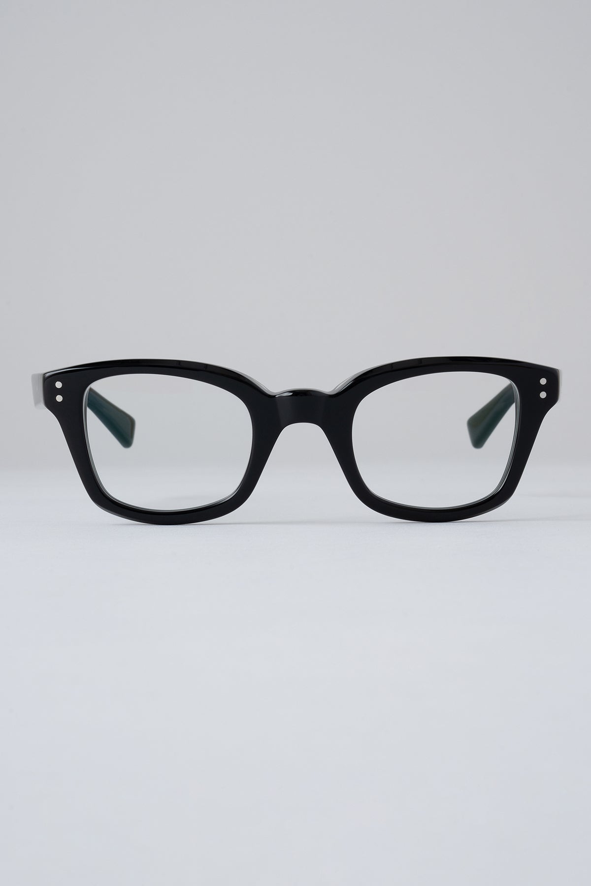 Model-BIG BLUEBIRD  -Photochromic-