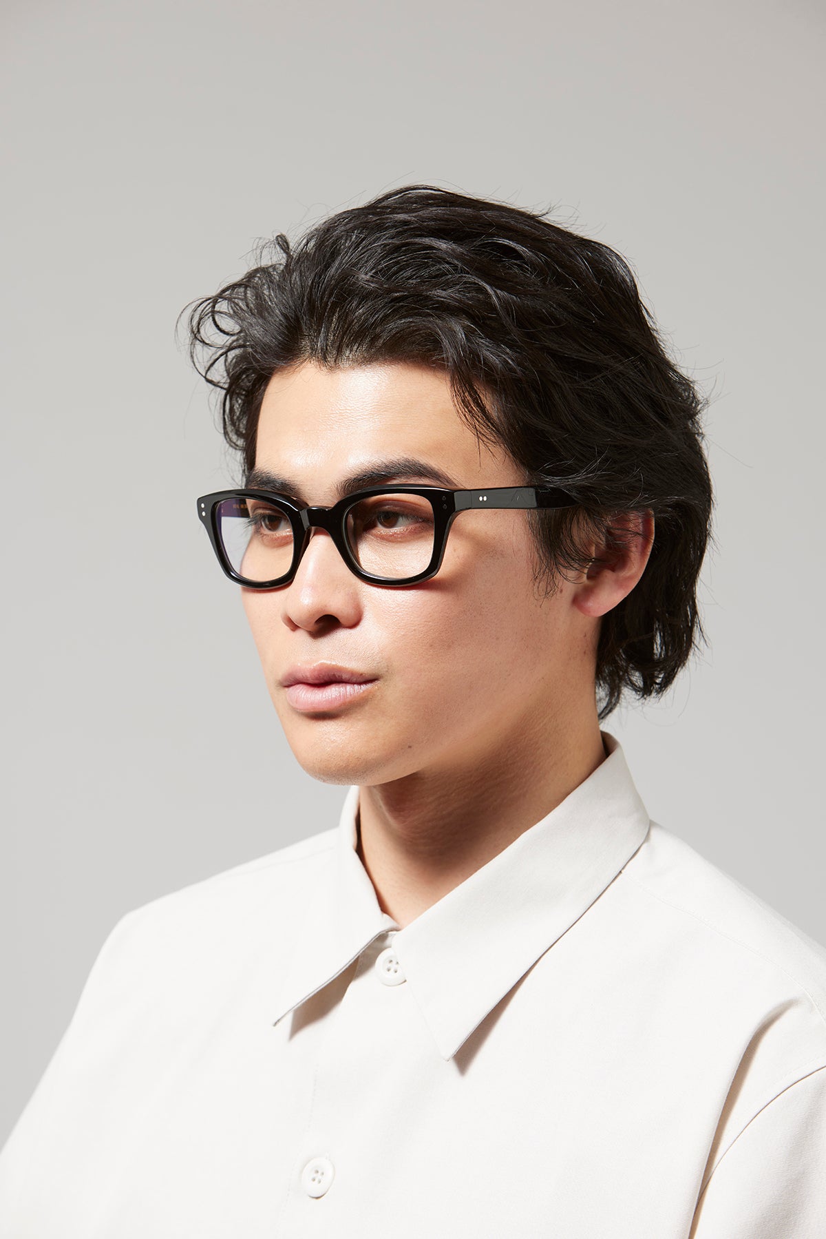 Model-BIG BLUEBIRD  -Photochromic-