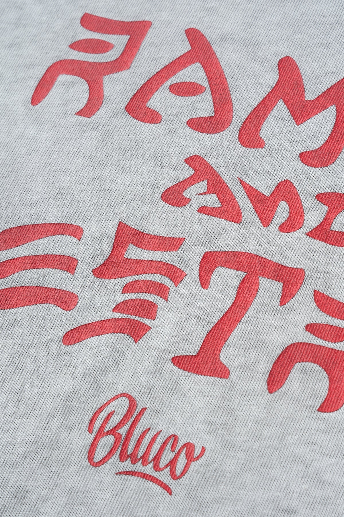 (RAMEN&DESTROY×BLUCO) ピグメントオーバーTシャツ