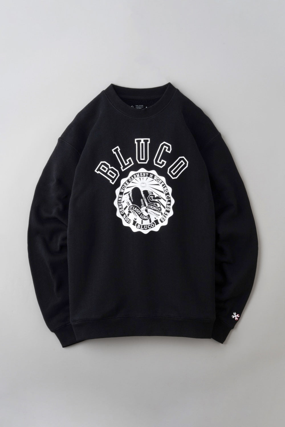 HEAVY PILE  SWEATSHIRTS -College-