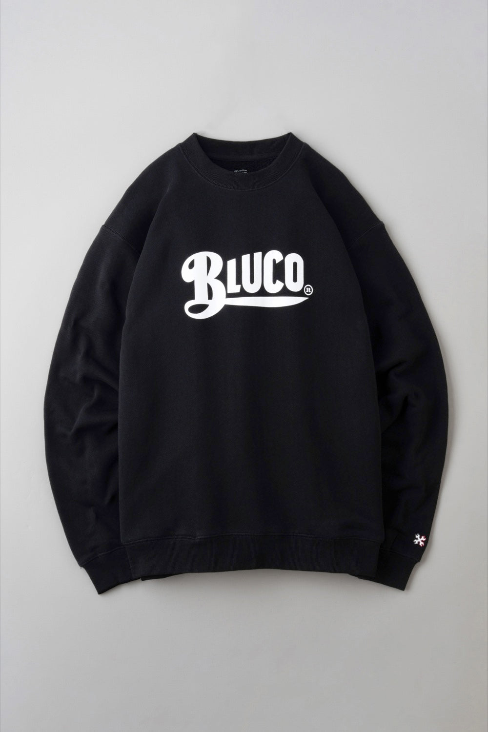 HEAVY PILE  SWEATSHIRTS -Old Logo-