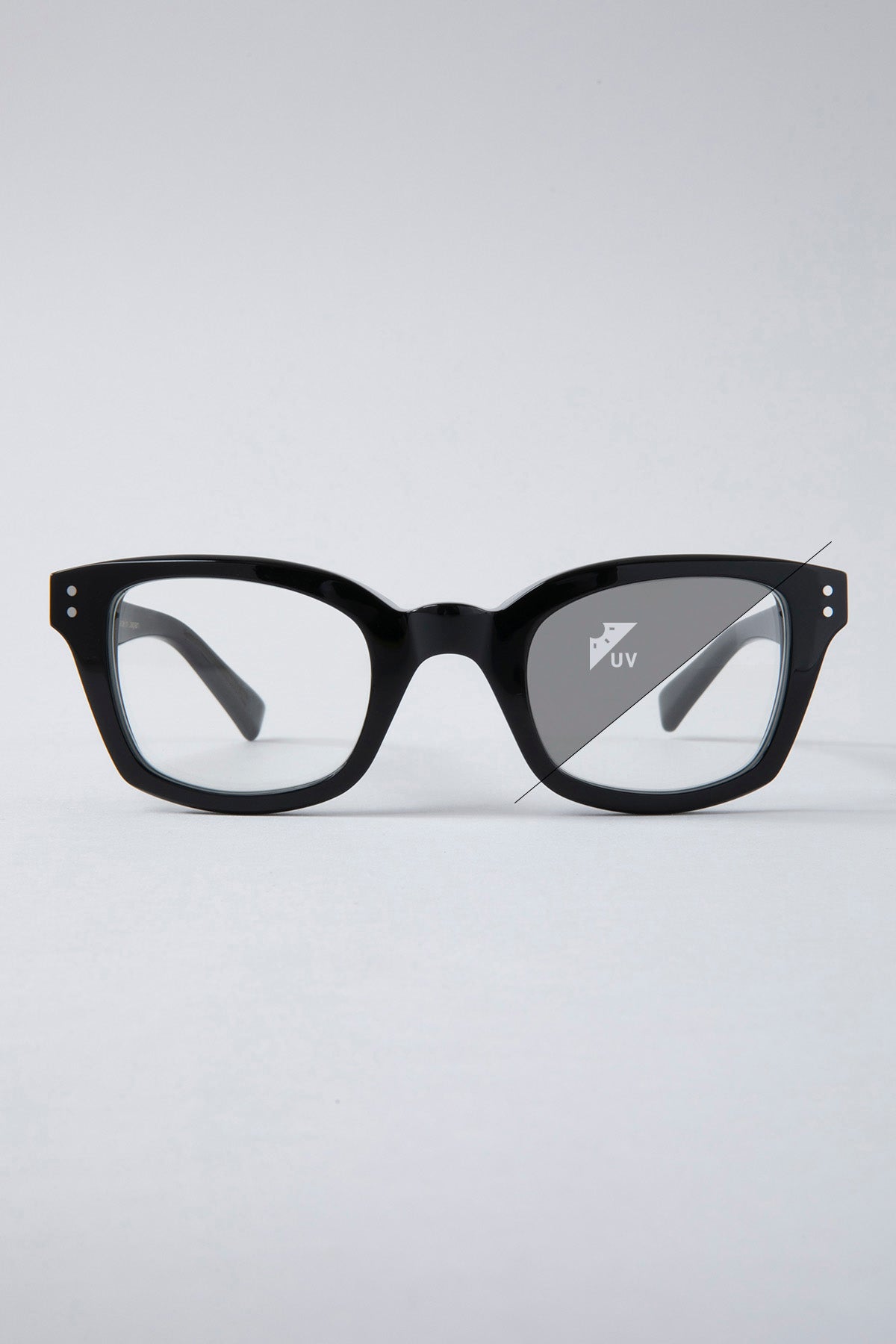 Model-BIG BLUEBIRD  -Photochromic-