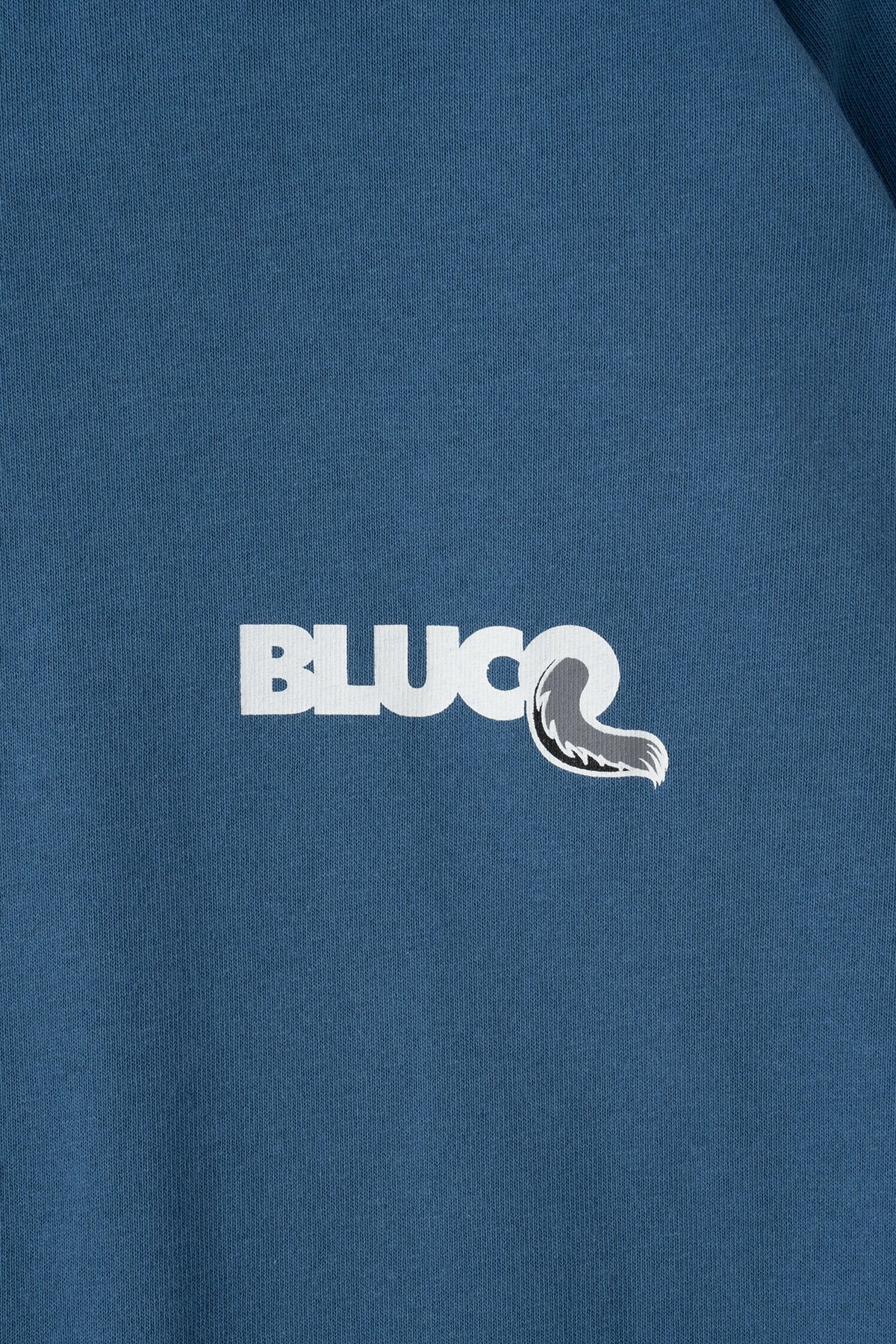 RAGLAN L/S TEE -Wolf-