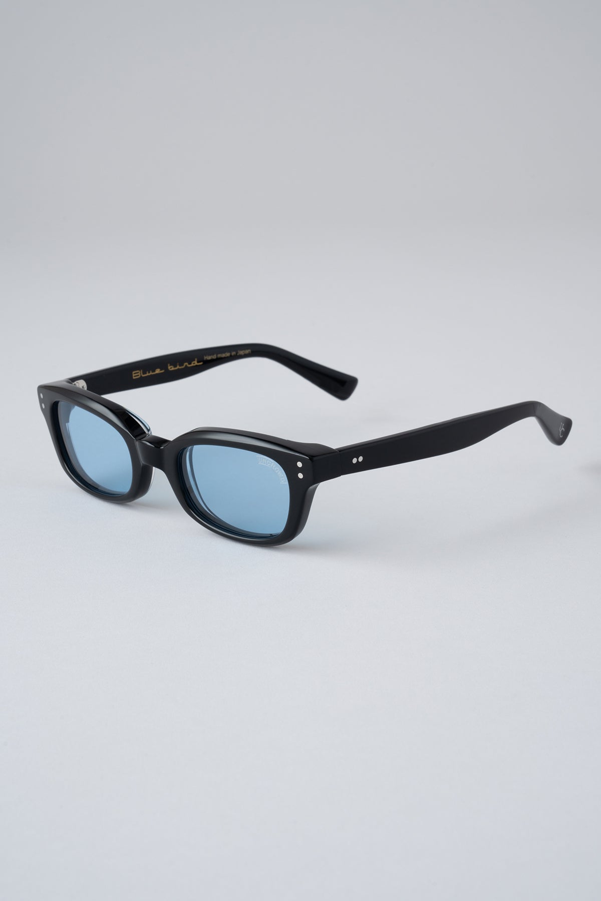 Model-BLUEBIRD – BLUCO. INC