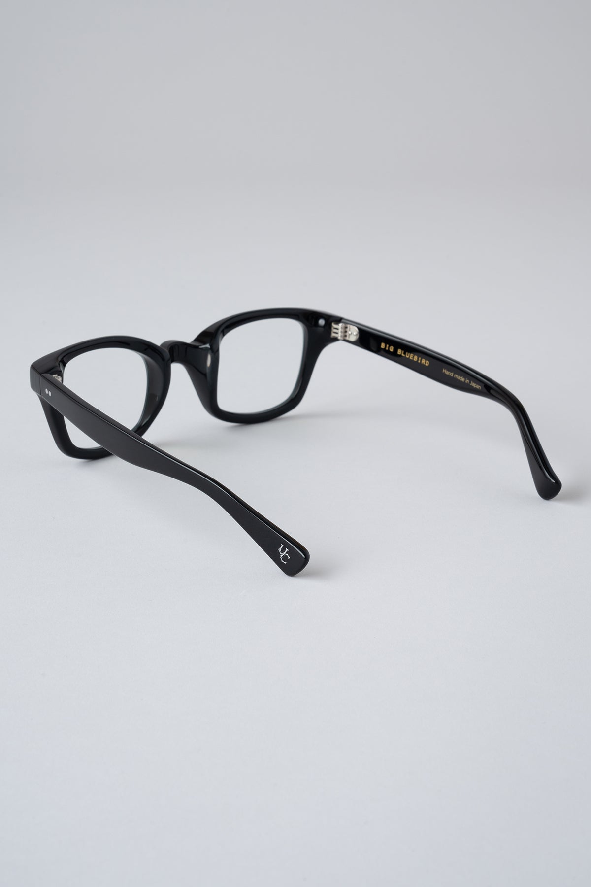 Model-BIG BLUEBIRD  -Photochromic-
