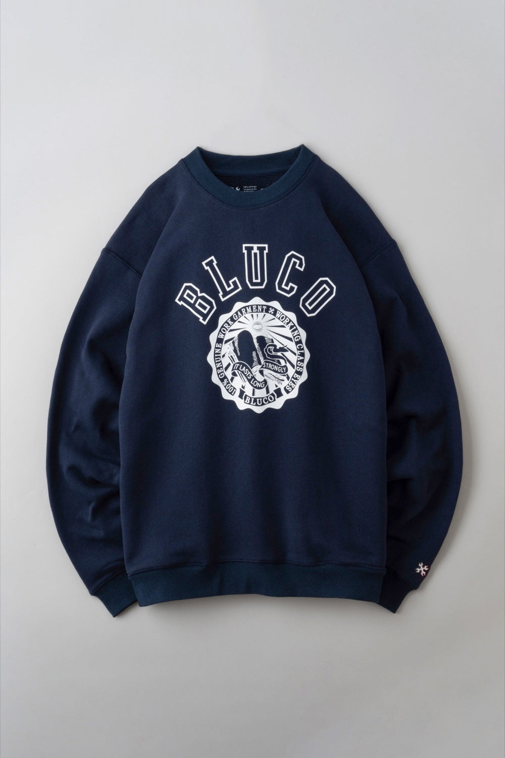 HEAVY PILE  SWEATSHIRTS -College-