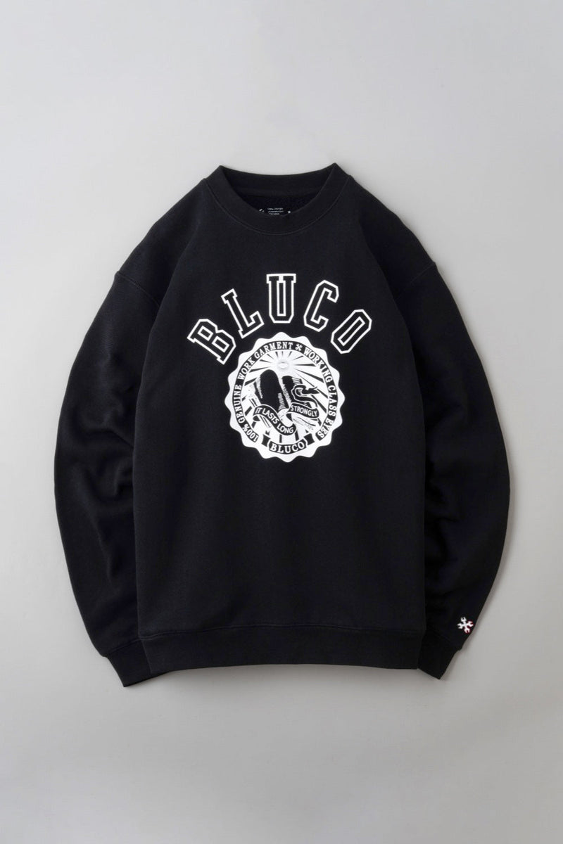 HEAVY PILE  SWEATSHIRTS -College-