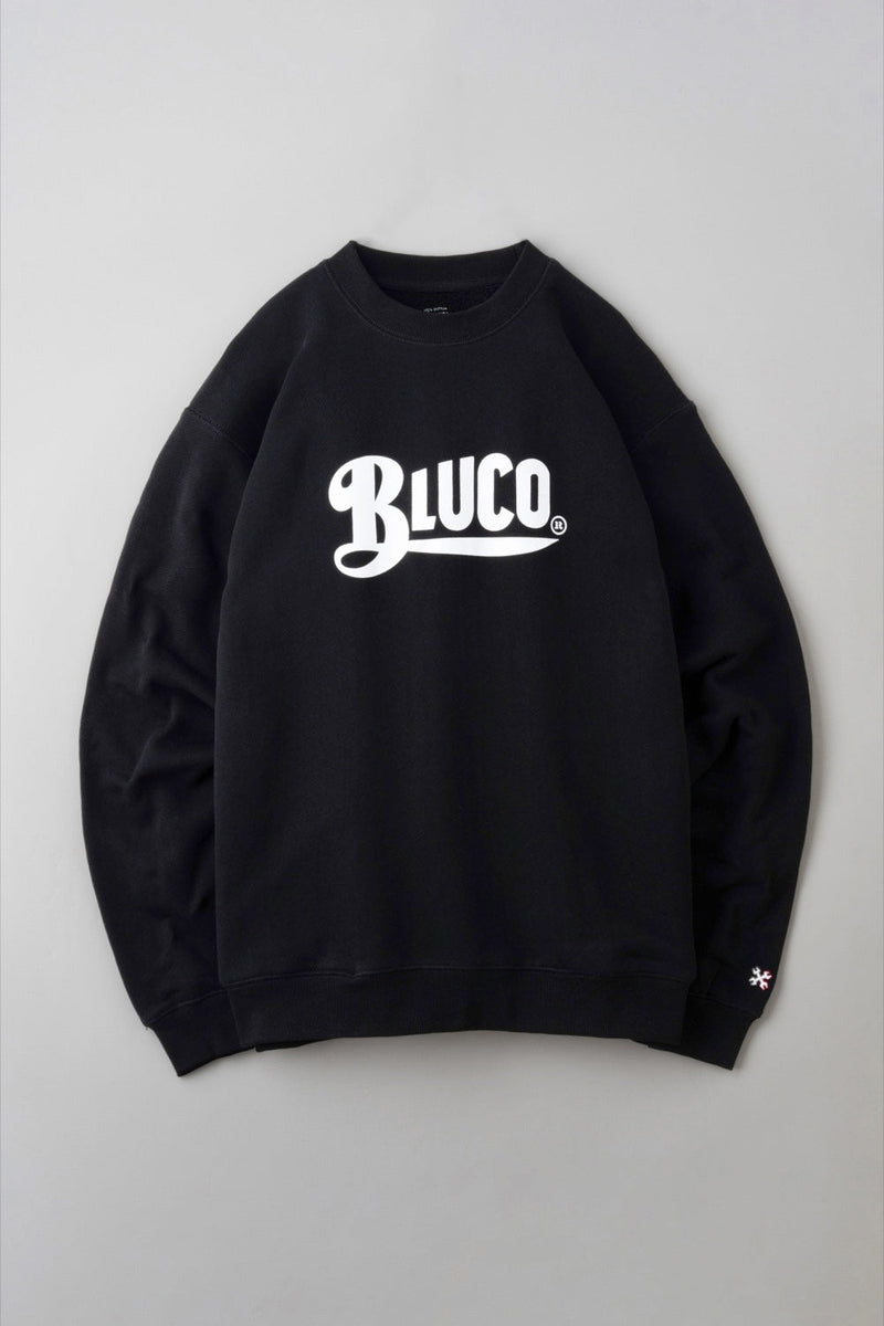 HEAVY PILE  SWEATSHIRTS -Old Logo-