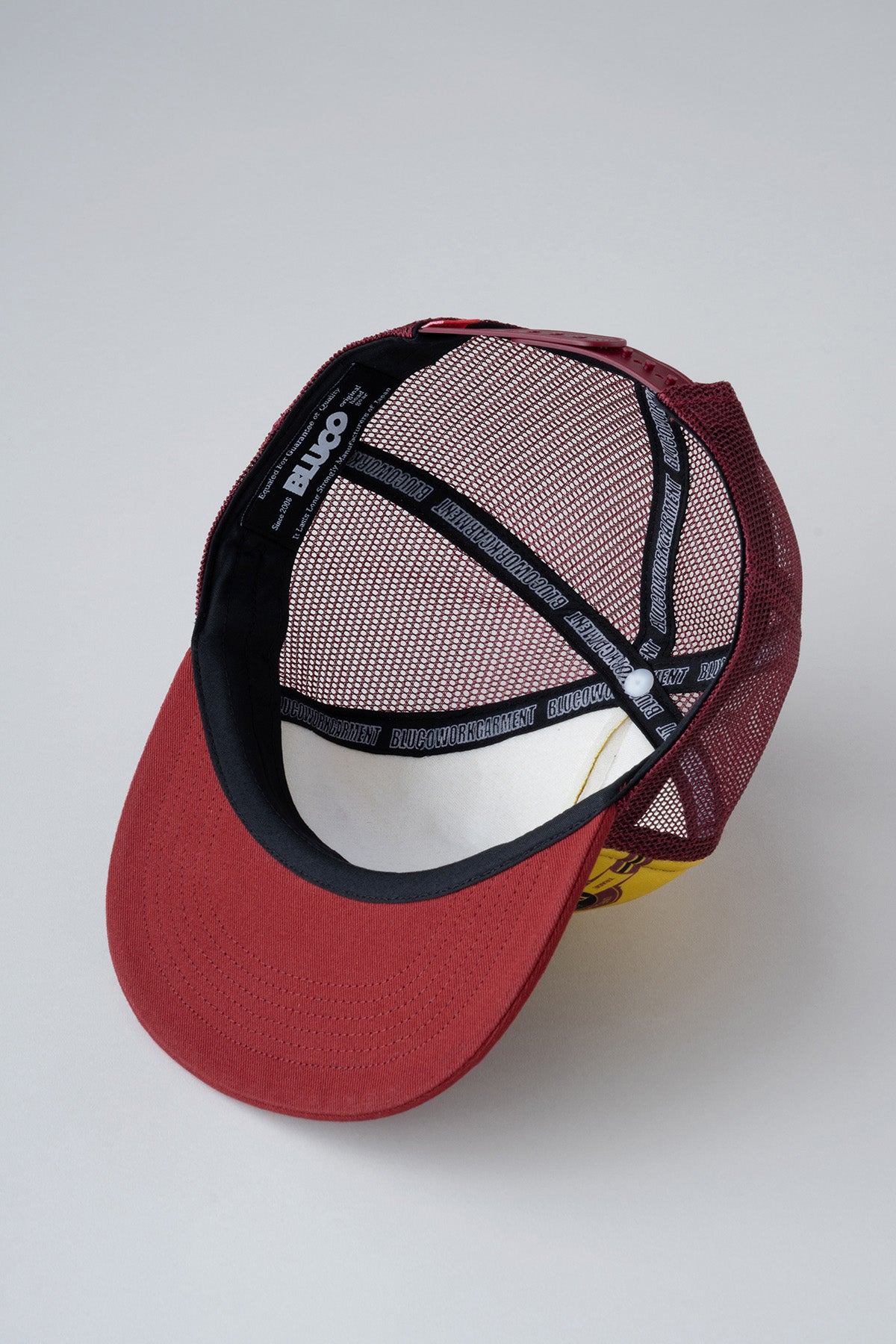 MESH CAP -enterprise-