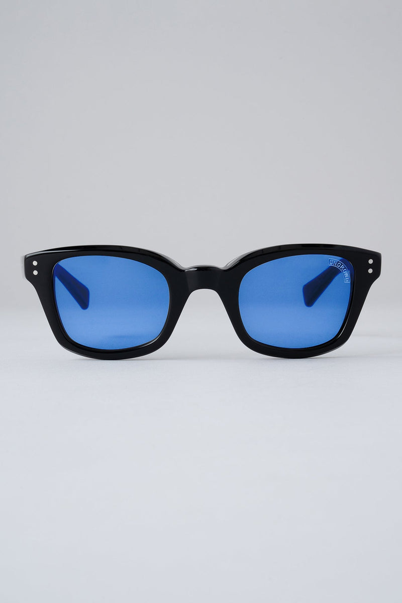 Model-BIG BLUEBIRD (2026)