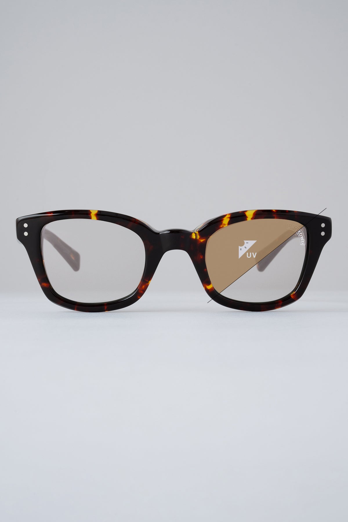 Model-BIG BLUEBIRD -Photochromic- (2026)