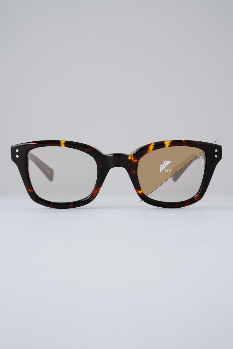Model-BIG BLUEBIRD -Photochromic- (2026)